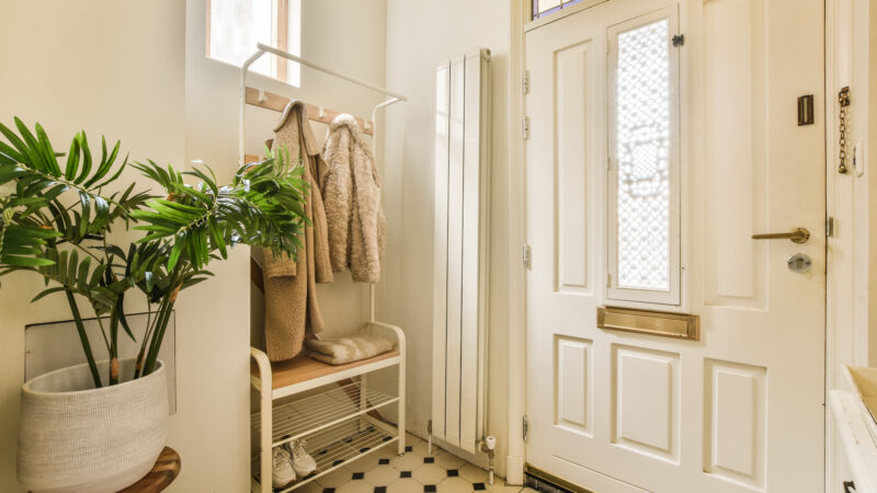 A cozy entryway featuring a white paneled entry door with glass inserts, complemented by geometric floor tiles, a potted plant, and a simple coat rack.